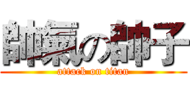 帥氣の帥子 (attack on titan)