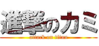 進撃のカミ (attack on titan)