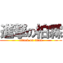 進撃の柏霖 (attack on titan)