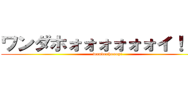 ワンダホォォォォォォイ！！！！ (wanderhoooy!)