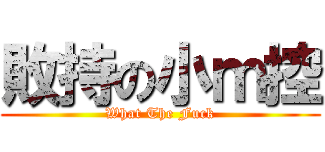 敗持の小ｍ控 (What The Fuck)