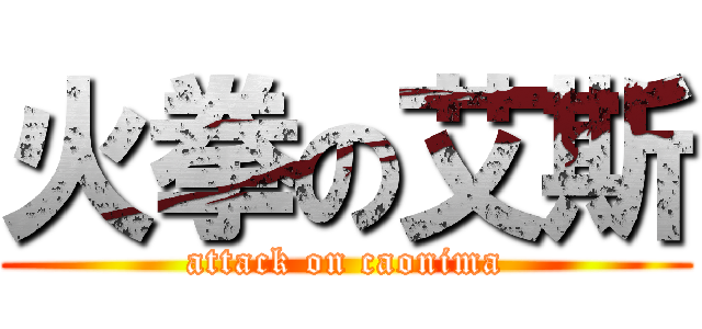 火拳の艾斯 (attack on caonima)