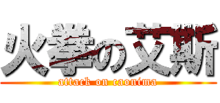 火拳の艾斯 (attack on caonima)