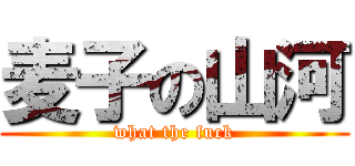 麦子の山河 (what the fuck)