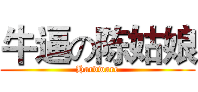 牛逼の陈姑娘 (Hardware)