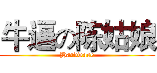 牛逼の陈姑娘 (Hardware)