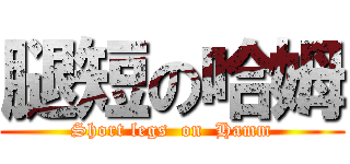 腿短の哈姆 (Short legs  on  Hamm)