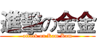 進擊の金金 (attack on Kam Kam)