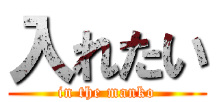 入れたい (in the manko)