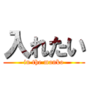入れたい (in the manko)