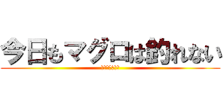 今日もマグロは釣れない (シイラばっかり)