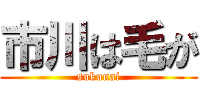 市川は毛が (sukunai)