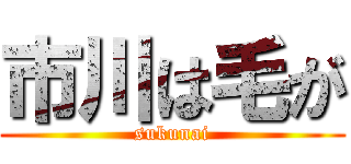 市川は毛が (sukunai)
