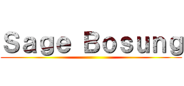 Ｓａｇｅ Ｂｏｓｕｎｇ ()
