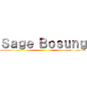 Ｓａｇｅ Ｂｏｓｕｎｇ ()