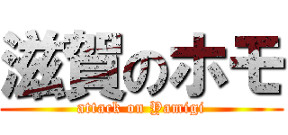 滋賀のホモ (attack on Yamigi)