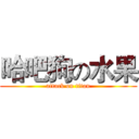 哈吧狗の水果 (attack on titan)