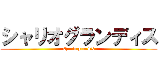 シャリオグランディス (shario grandis)