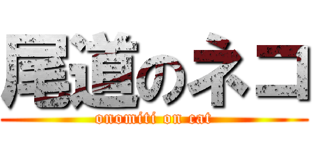 尾道のネコ (onomiti on cat)