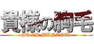 貴様の胸毛 (IT IS MUNAGE！)