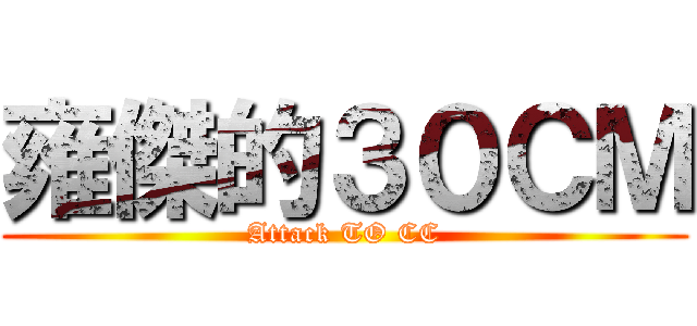 雍傑的３０ＣＭ (Attack TO CC)