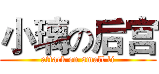 小璃の后宫 (attack on small li)