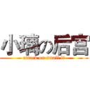 小璃の后宫 (attack on small li)