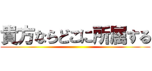 貴方ならどこに所属する ()