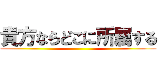 貴方ならどこに所属する ()