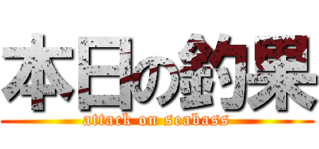 本日の釣果 (attack on seabass)