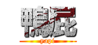 鴨屁 (yapi)