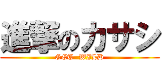 進撃のカサシ (GET  WILD)