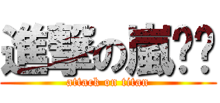 進撃の嵐玥玥 (attack on titan)