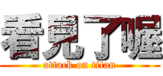 看見了喔 (attack on titan)