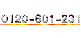 ０１２０－６０１－２３１ (attack on titan)