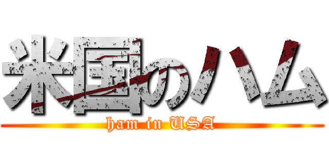 米国のハム (ham in USA)