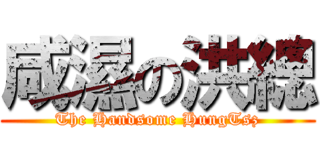 咸濕の洪總 (The Handsome HungTsz)