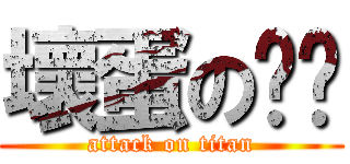 壞蛋の妮妮 (attack on titan)