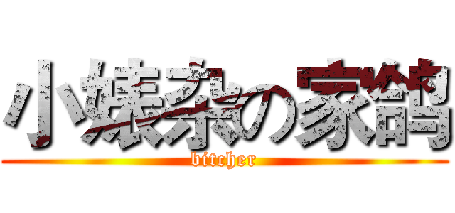 小婊杂の家鸽 (bitcher)