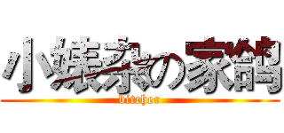 小婊杂の家鸽 (bitcher)