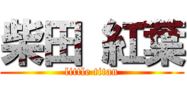柴田 紅葉 (little titan)