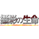 攝影の生命 (attack on titan)