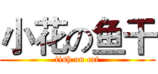 小花の鱼干 (fish on cat)