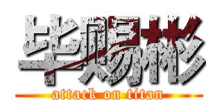 毕赐彬 (attack on titan)