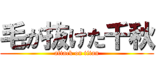 毛が抜けた千秋 (attack on titan)
