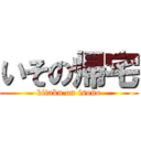 いその帰宅 (kitaku on isono)