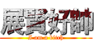 展賢好帥 (I am a bitch)
