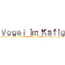 Ｖｏｇｅｌ Ｉｍ Ｋａｆｉｇ ()