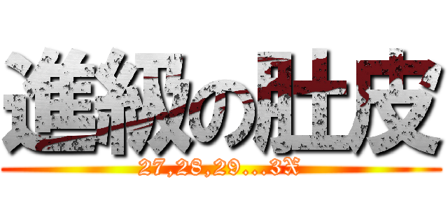 進級の肚皮 (27,28,29...3X)