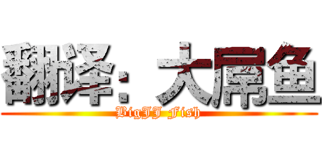 翻译：大屌鱼 (BigJJ Fish)